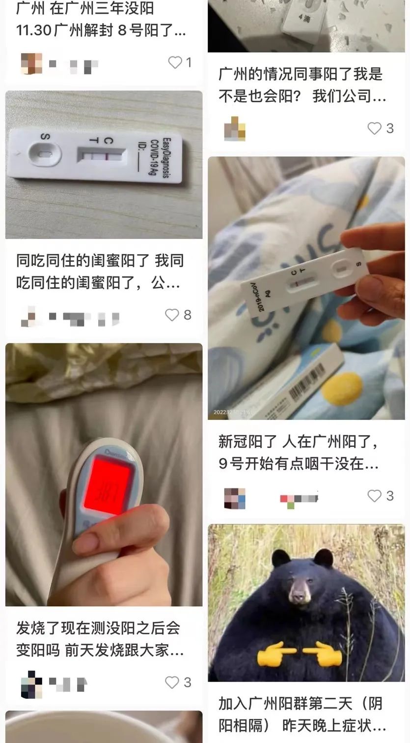 糾結的“羊”城人：既怕ta來，又怕ta不來……
