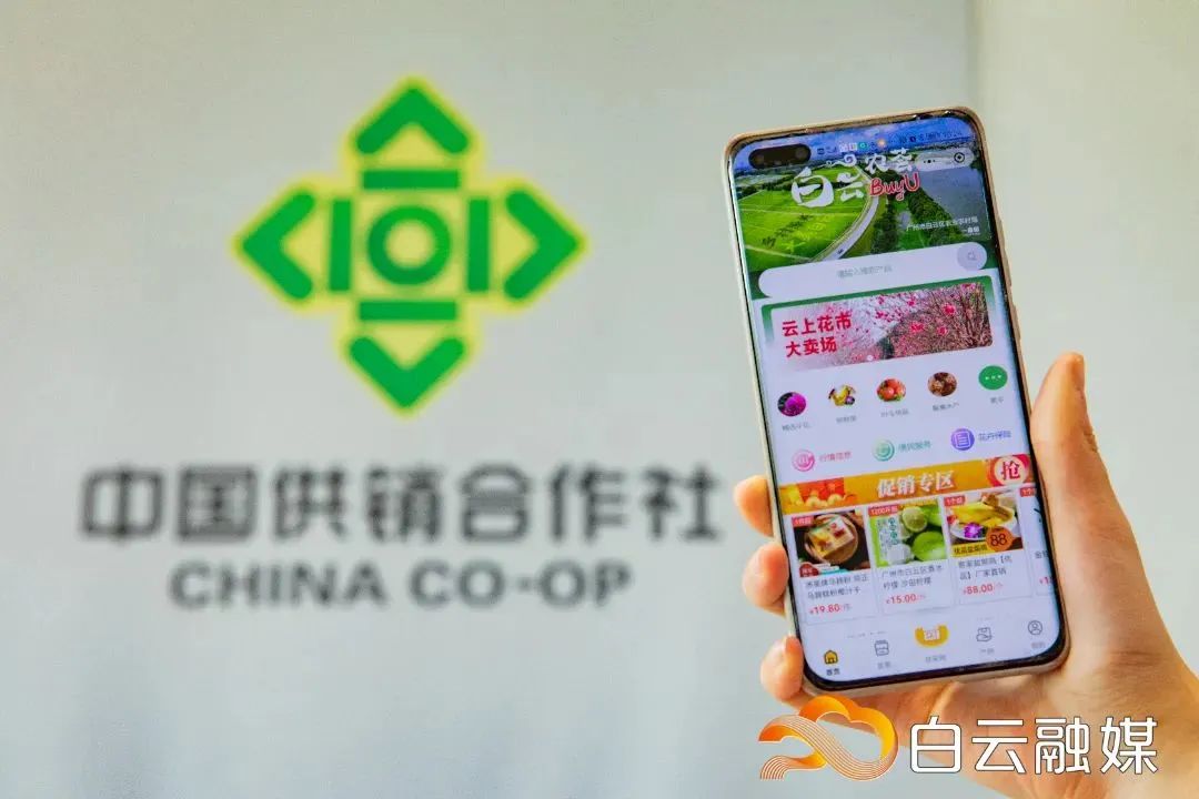 花市有望重開，“羊”城人行花街真系“唔使怕”？