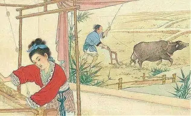 楊紫瓊金球封后：“打女”為何更難成名？