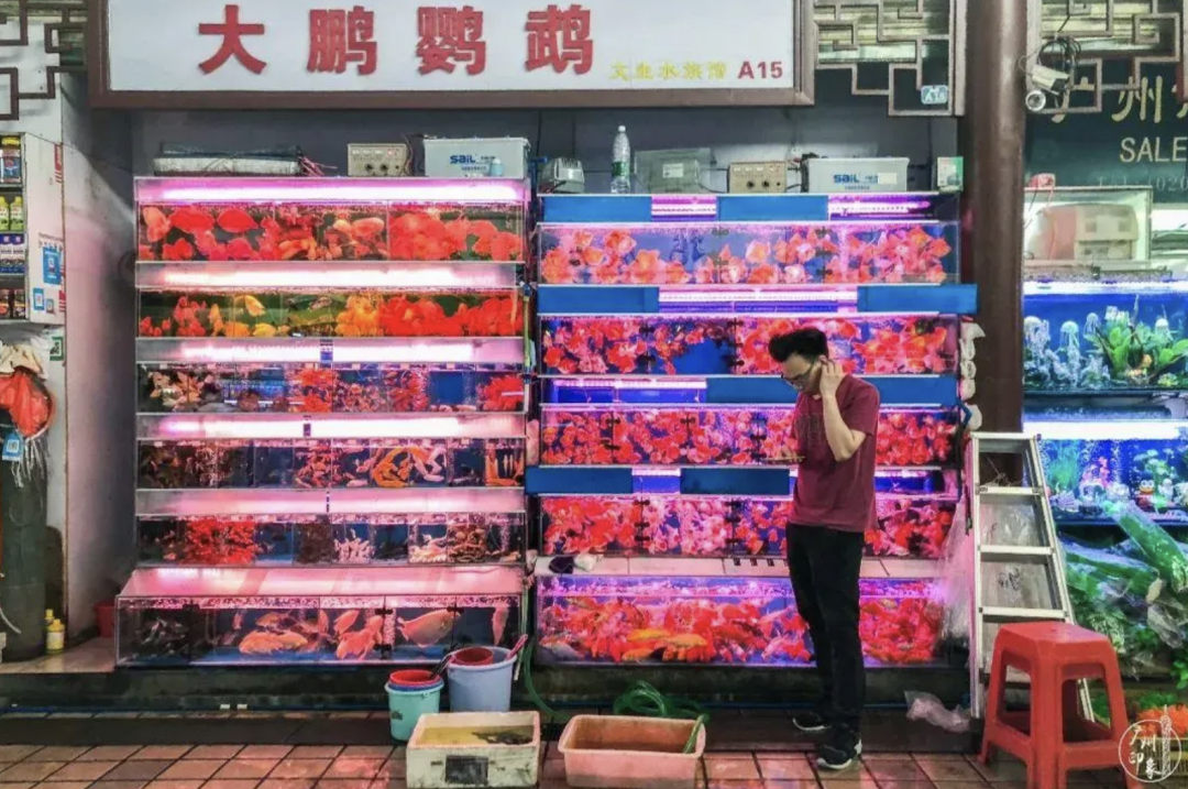 只有安琪兒和精神病院？這是對芳村的最大誤解！