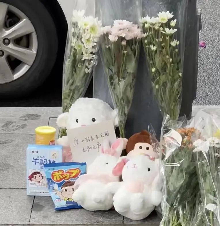 天河寶馬男撞人事件：究竟是交通肇事，還是無(wú)差別殺人？