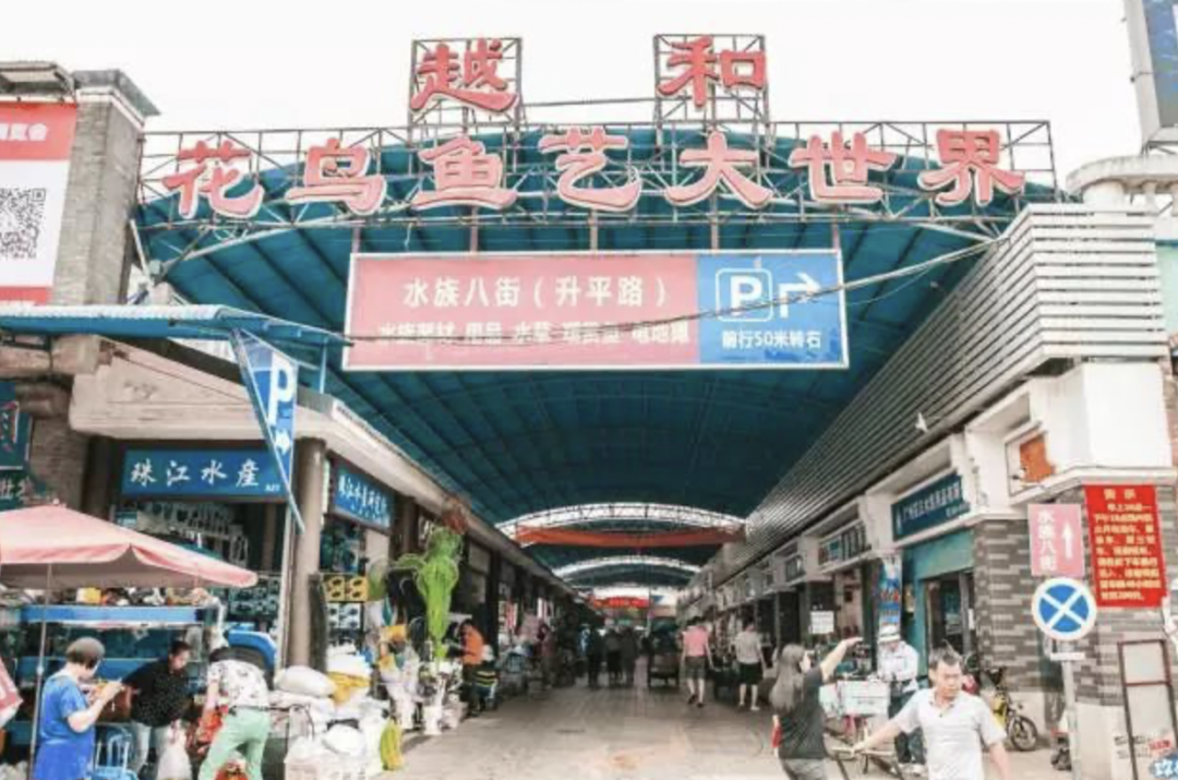 只有安琪兒和精神病院？這是對芳村的最大誤解！