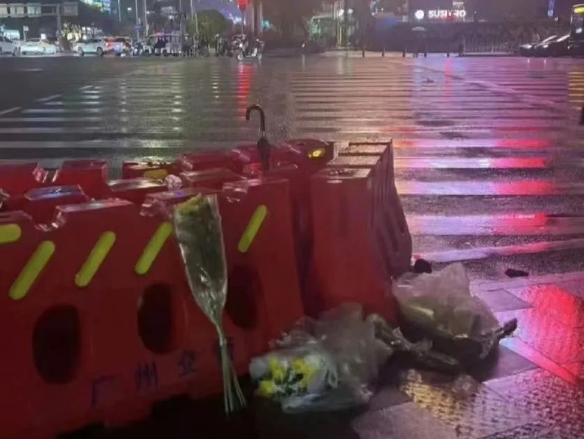 天河寶馬男撞人事件：究竟是交通肇事，還是無(wú)差別殺人？