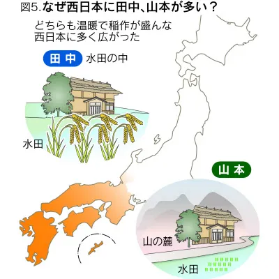 長崎舞淺靜小姐和伊三南柳先生的愛情，只有廣東人才懂