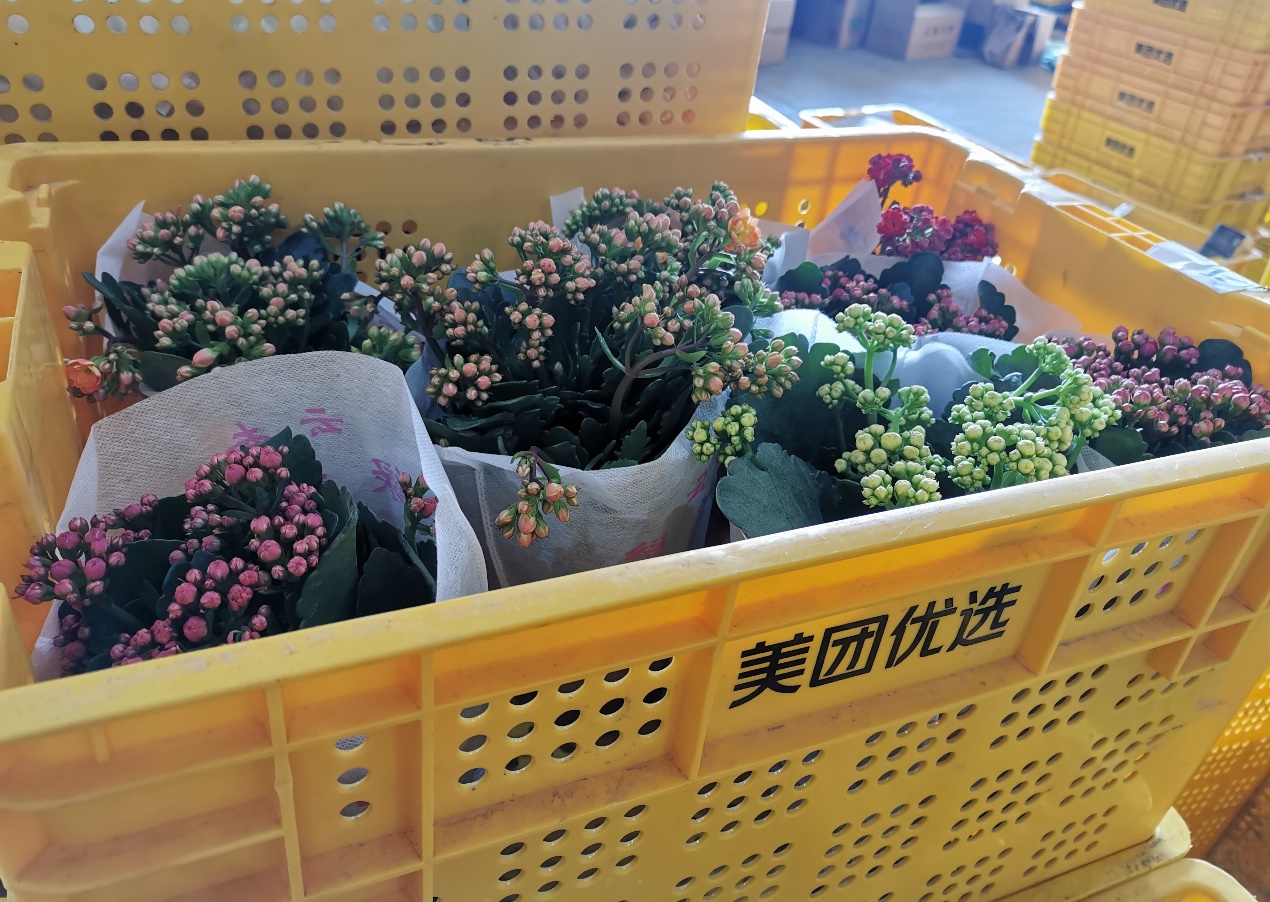 ▲線上鮮花消費經(jīng)濟旺盛 (圖源:美團優(yōu)選供圖)