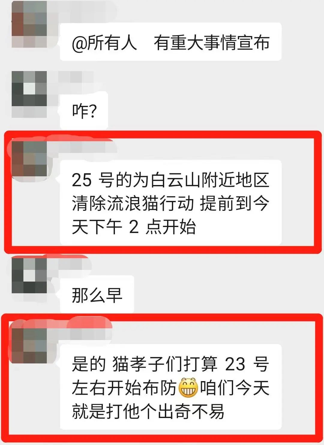 虐貓團伙預(yù)謀在廣州公園下毒手，流浪貓命運如何？
