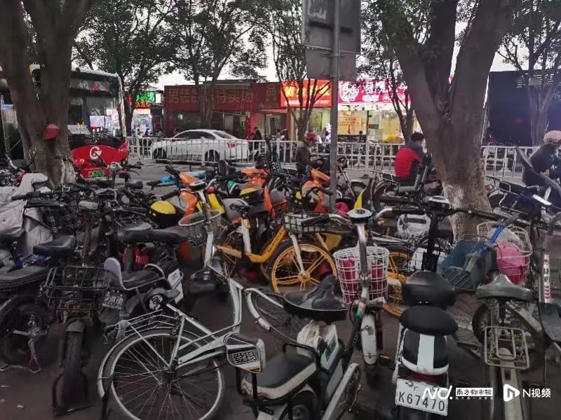 廣州電雞圍城：私人電動車未治，共享電動車又來？