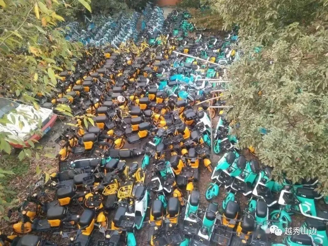 廣州電雞圍城：私人電動車未治，共享電動車又來？