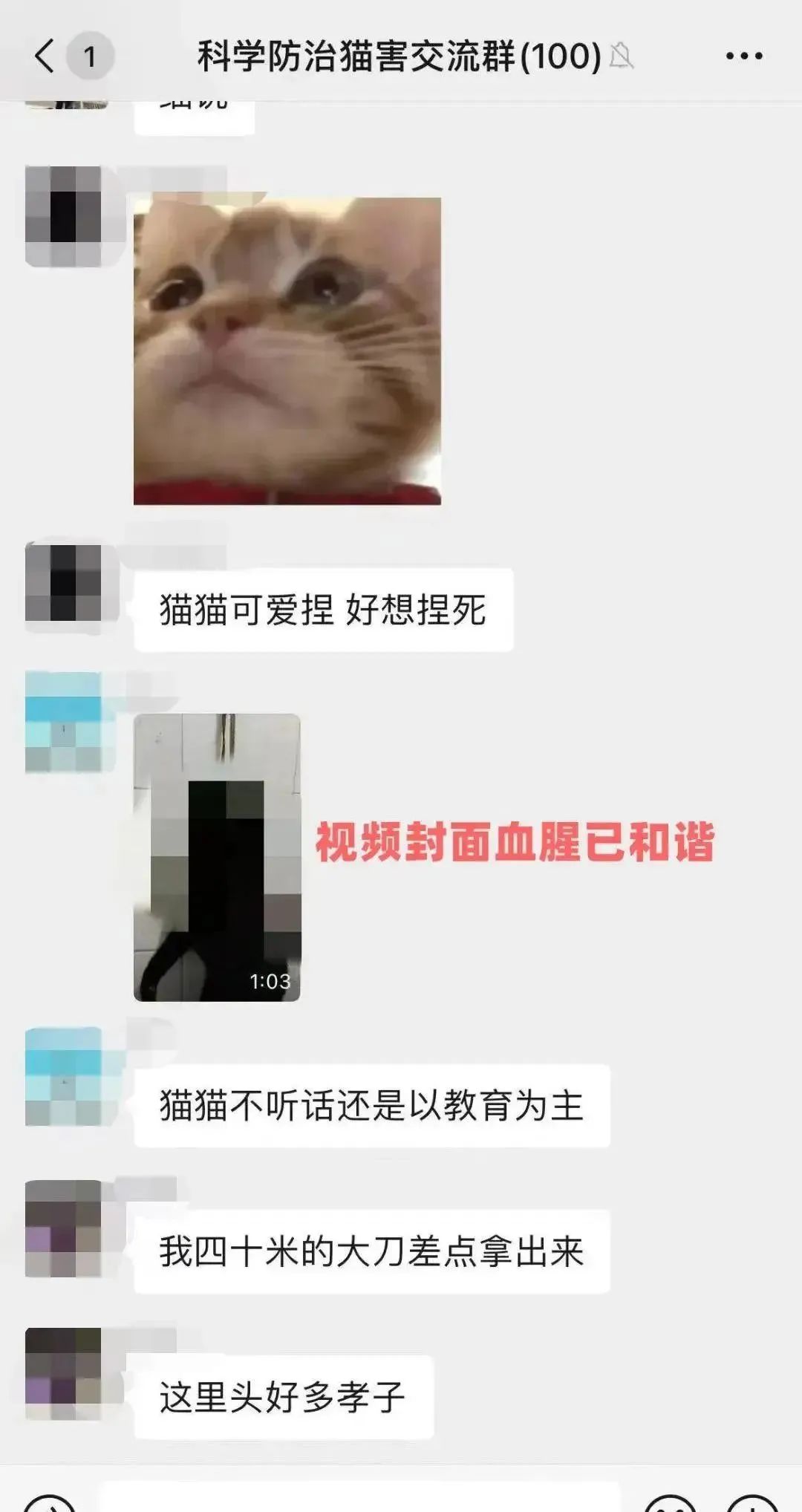 虐貓團伙預(yù)謀在廣州公園下毒手，流浪貓命運如何？