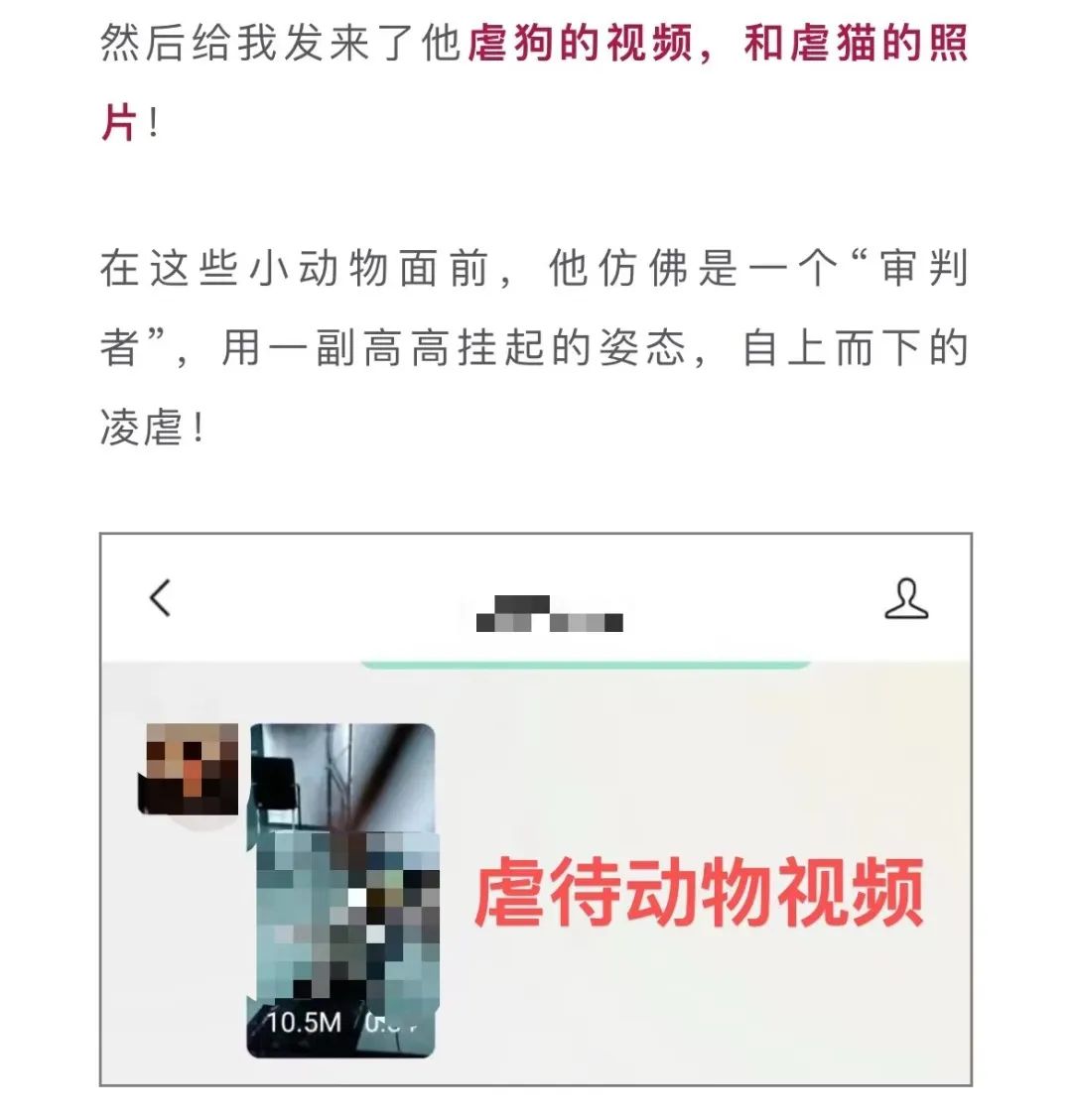 虐貓團伙預(yù)謀在廣州公園下毒手，流浪貓命運如何？