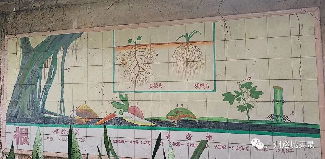 廣州瓷畫 廣州瓷畫