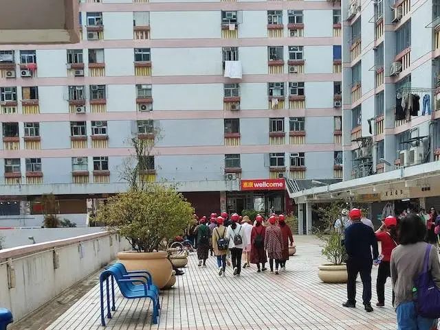 內(nèi)地平價旅游團逼爆香港：公廁前吃杯面，一天跑12個景點