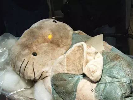 香港碎尸案 香港碎尸案