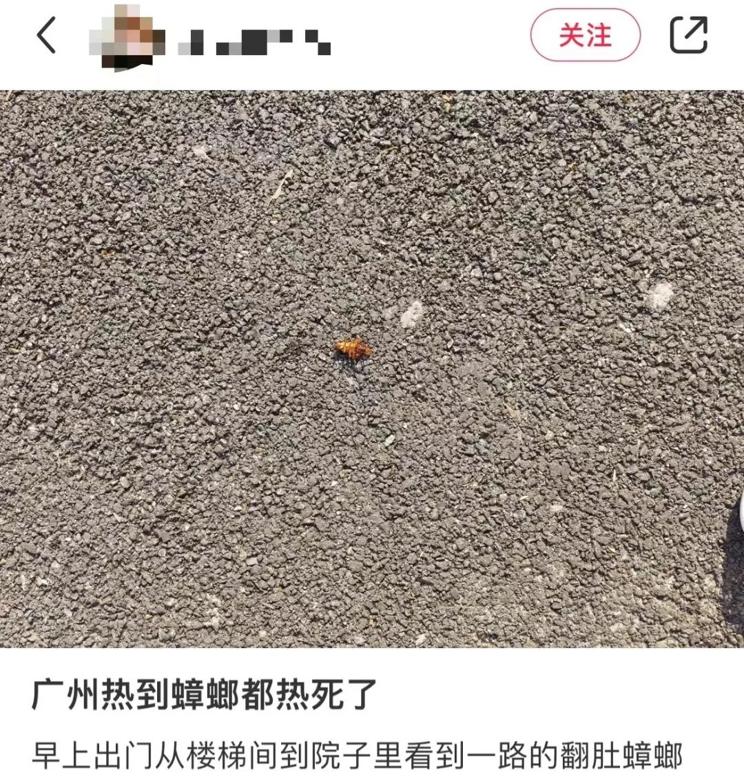 這兩天的廣州，只有國父孫中山敢在戶外站那么久……