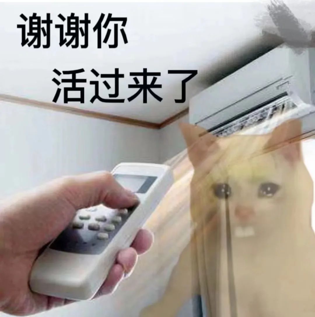 這兩天的廣州，只有國父孫中山敢在戶外站那么久……