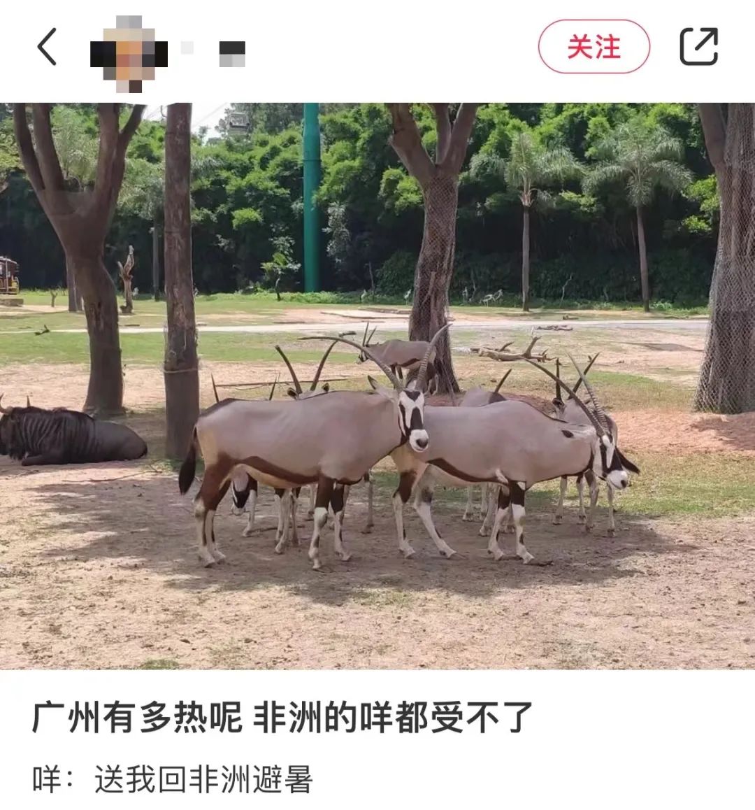 這兩天的廣州，只有國父孫中山敢在戶外站那么久……