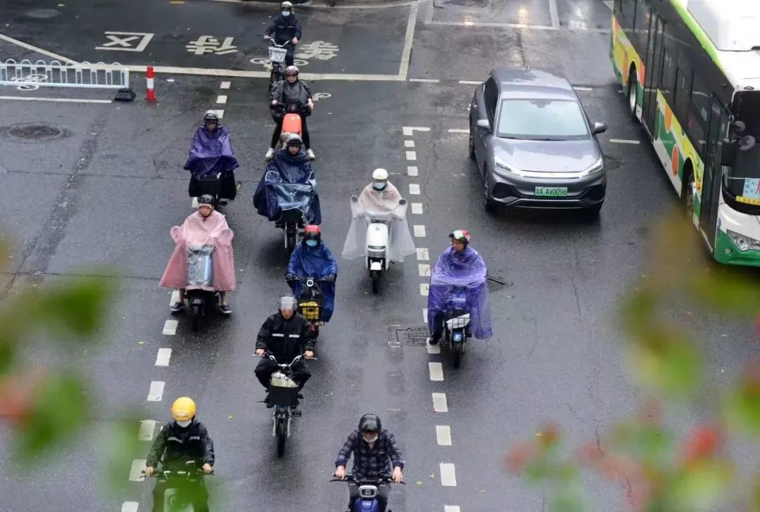 把“電雞”列入機(jī)動(dòng)車管理，能解圍城死結(jié)嗎？