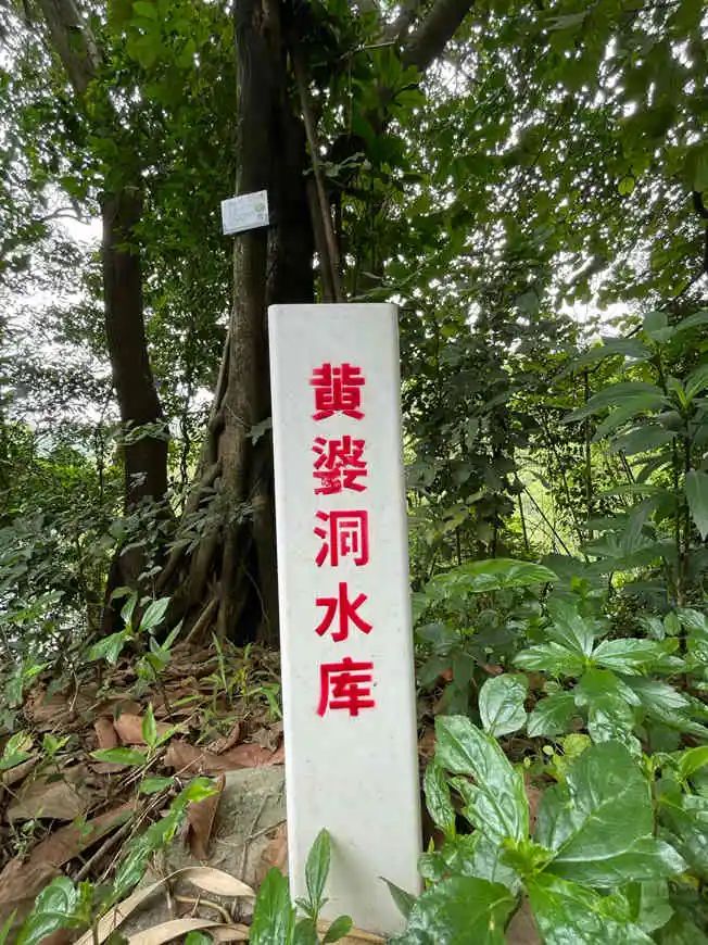 云山見證廣州 把脈廣州“儒釋道” || 聞遜 云山見證廣州 把脈廣州“儒釋道” || 聞遜