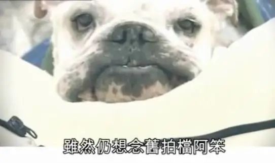 大家都沒(méi)看過(guò)的《阿笨與阿占》大結(jié)局，究竟是怎樣的？