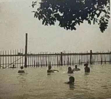 任溶溶的廣州足印廣州情 || 荔人行 任溶溶的廣州足印廣州情 || 荔人行