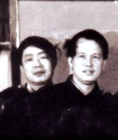 《花城》雜志是怎樣誕生的 《花城》雜志是怎樣誕生的