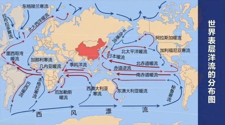 “我媽媽成為了日本排放核污水的第一批受害者，因為……”