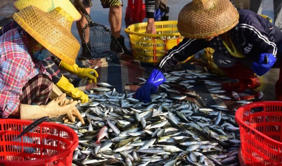 日本核污水排海：有人為生計(jì)發(fā)愁，有人為商機(jī)狂喜……