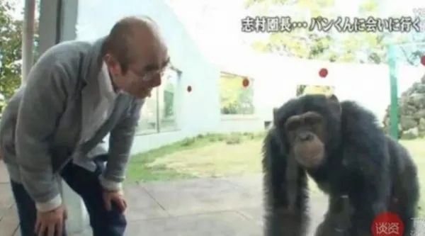大家都沒(méi)看過(guò)的《阿笨與阿占》大結(jié)局，究竟是怎樣的？