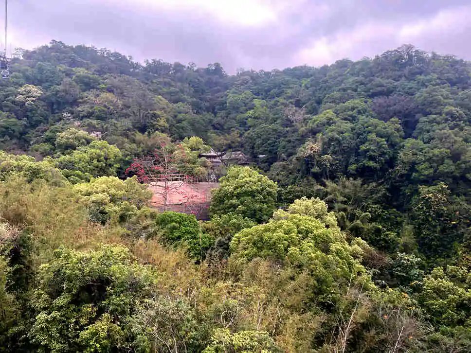 南越國滅亡后，廣州淪為廢墟？|| 馮沛祖