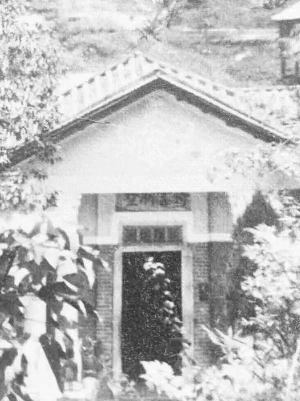 與荔枝灣、白云山有關(guān)的素社直街 || 荔人行