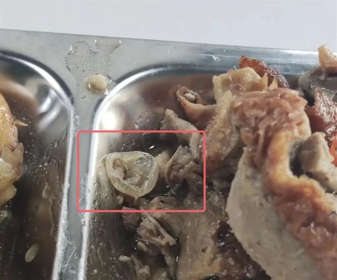 預制菜進學生飯?zhí)?，家長擔心的只是“科技與狠活”嗎？