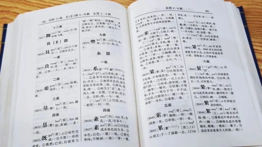 廣東人掛喺嘴邊卻經(jīng)常寫錯(cuò)嘅粵語(yǔ)字，你寫啱咗未？