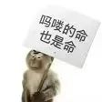 粵語(yǔ)為何稱(chēng)猴子為馬騮，猴和馬怎么扯上關(guān)系的呢？