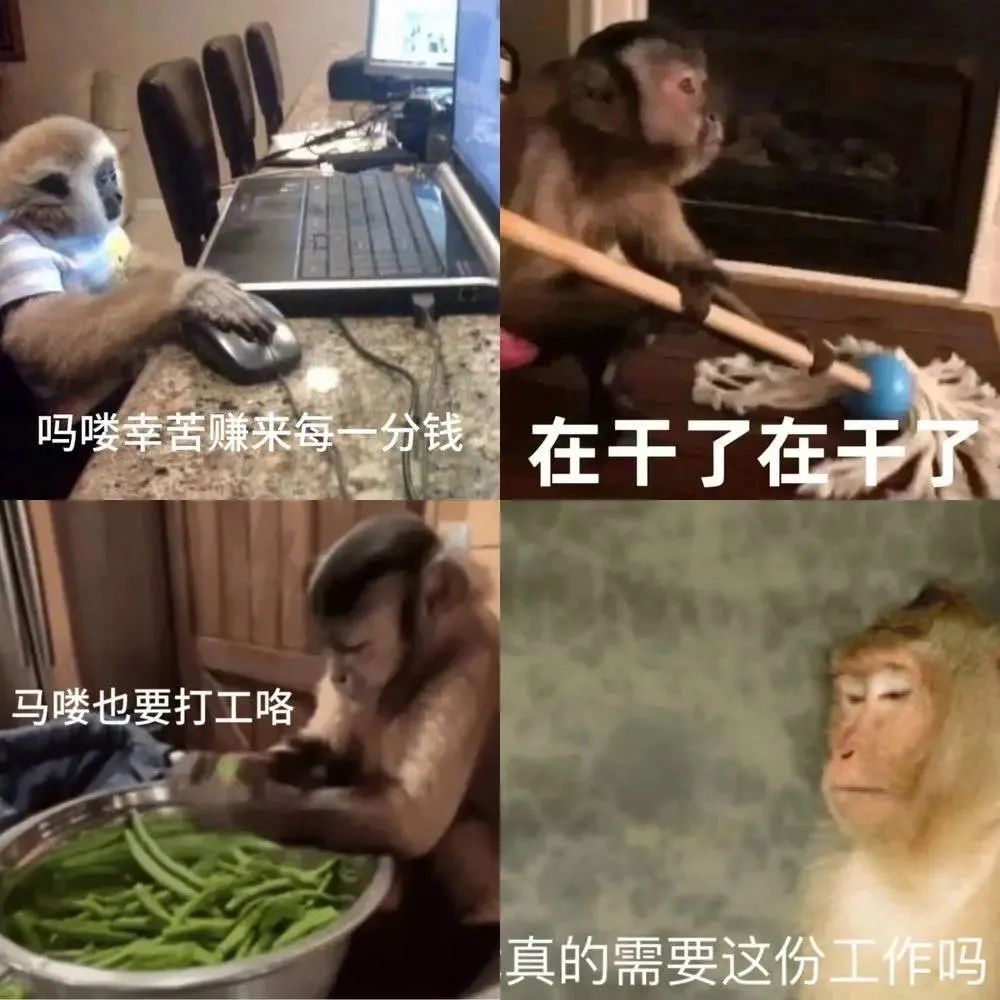 粵語(yǔ)為何稱(chēng)猴子為馬騮，猴和馬怎么扯上關(guān)系的呢？