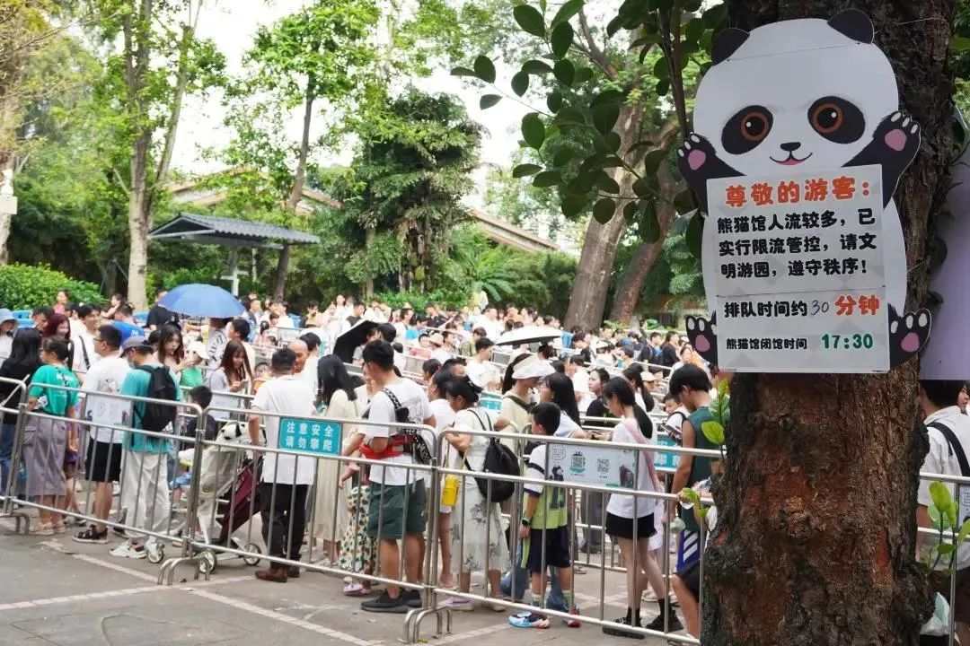 外地游客：廣州很好，下次不會(huì)再來了……