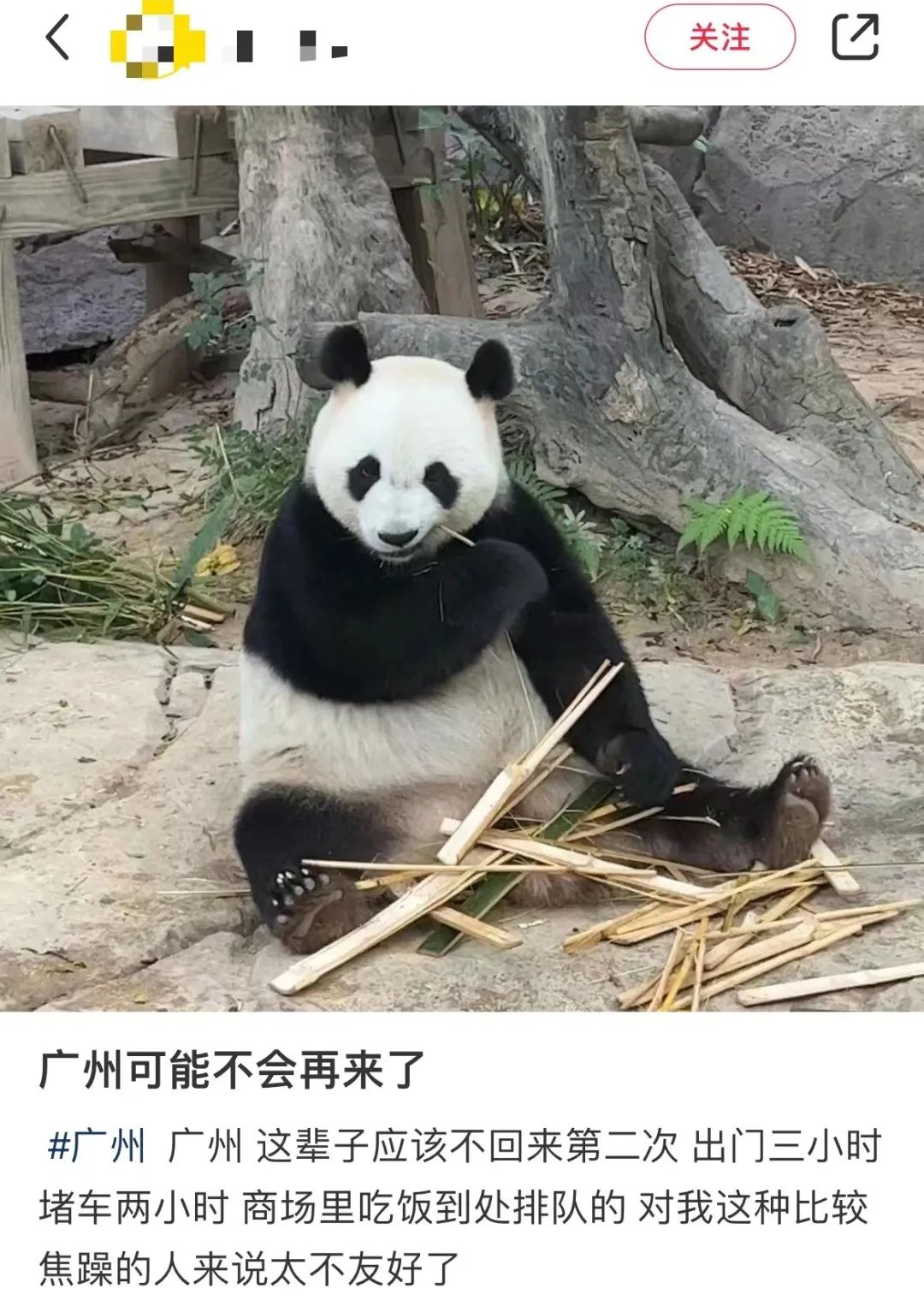 外地游客：廣州很好，下次不會(huì)再來了……