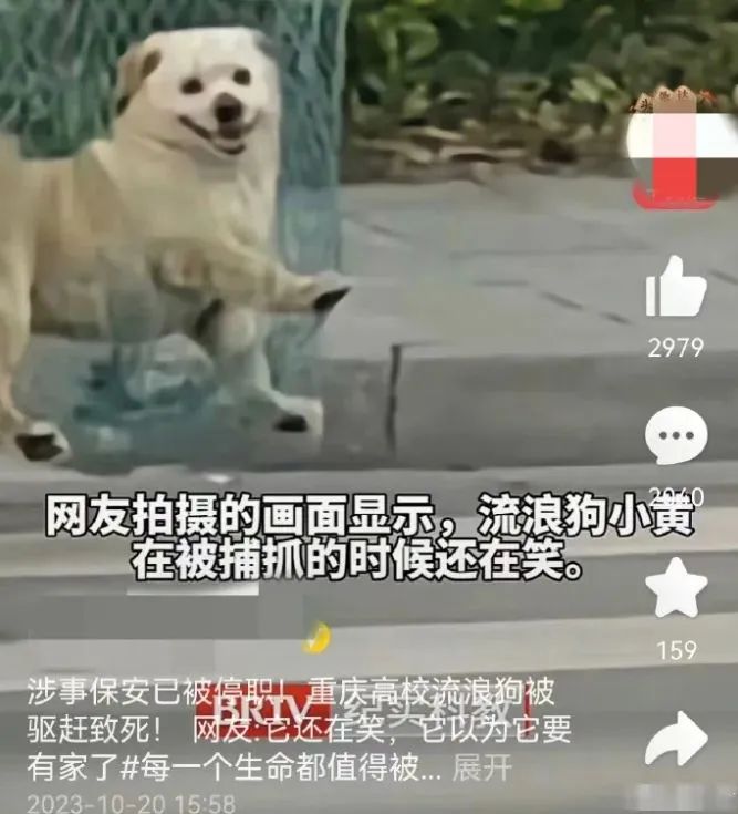 假到離譜的新聞，為何總是有人信？