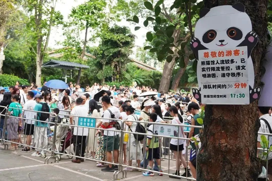 告別2023：疫情防控放開后，廣州人的生活有變好嗎？