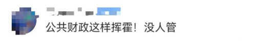 廣東開通寵物專線，你愿意和貓狗同坐一車嗎？