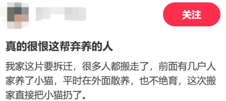 廣東開通寵物專線，你愿意和貓狗同坐一車嗎？