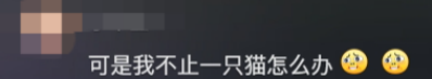 廣東開通寵物專線，你愿意和貓狗同坐一車嗎？