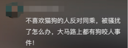 廣東開通寵物專線，你愿意和貓狗同坐一車嗎？