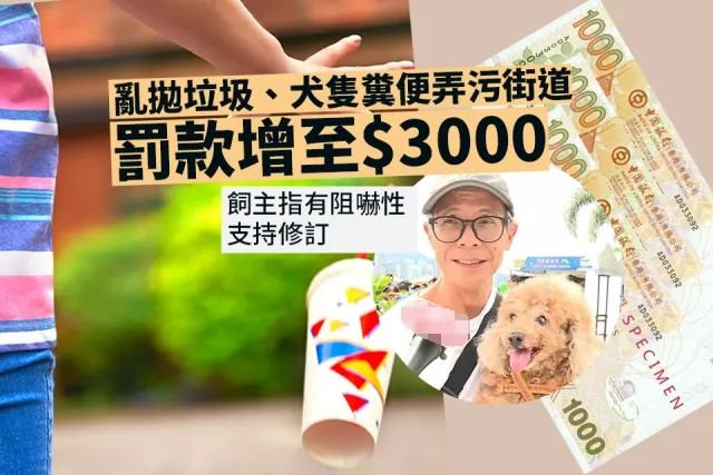 廣東開通寵物專線，你愿意和貓狗同坐一車嗎？