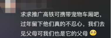 廣東開通寵物專線，你愿意和貓狗同坐一車嗎？