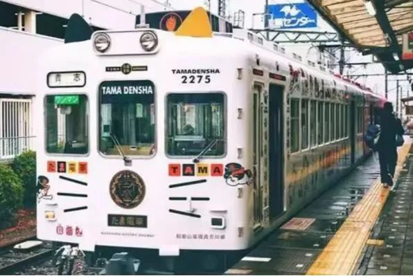 廣東開通寵物專線，你愿意和貓狗同坐一車嗎？