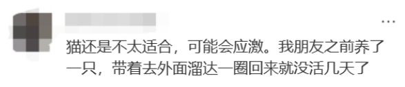 廣東開通寵物專線，你愿意和貓狗同坐一車嗎？