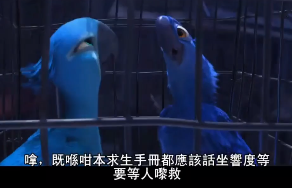 滬語文學(xué)《繁花》火了，下一個會是粵語嗎？