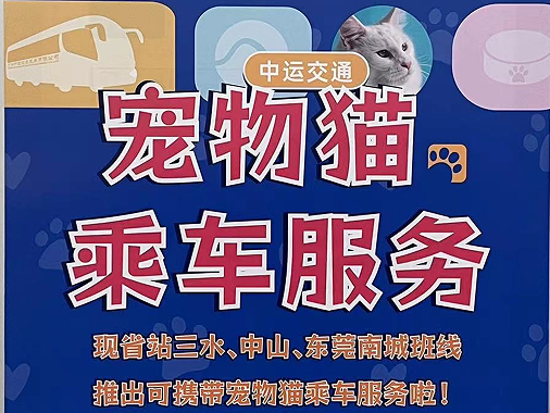 廣東開通寵物專線，你愿意和貓狗同坐一車嗎？