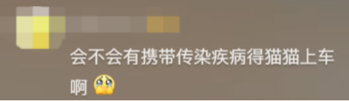 廣東開通寵物專線，你愿意和貓狗同坐一車嗎？