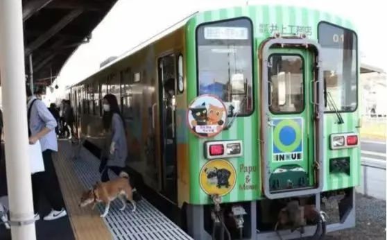 廣東開通寵物專線，你愿意和貓狗同坐一車嗎？